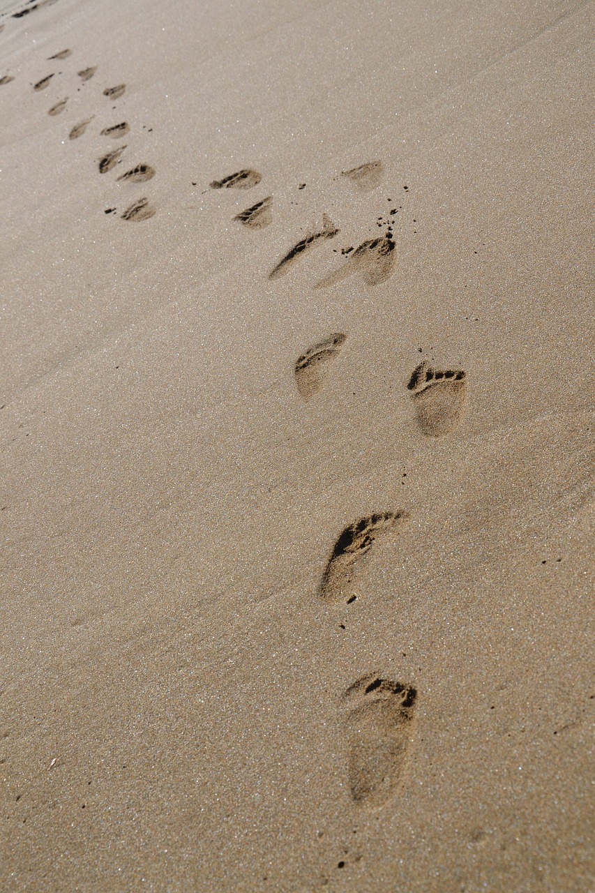 tracks sand beach free photo