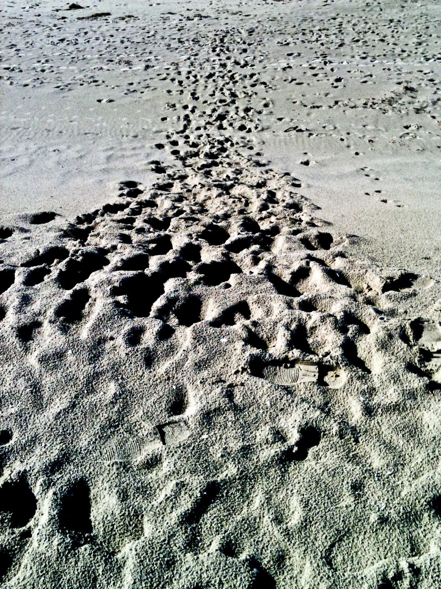 tracks away infinity free photo