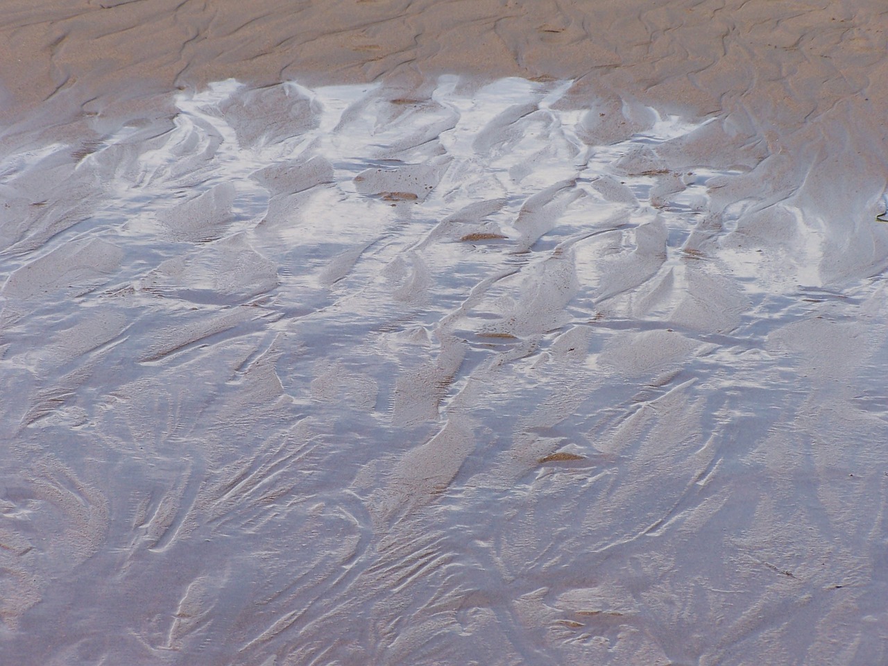 tracks in the sand sand beach washed up on free photo