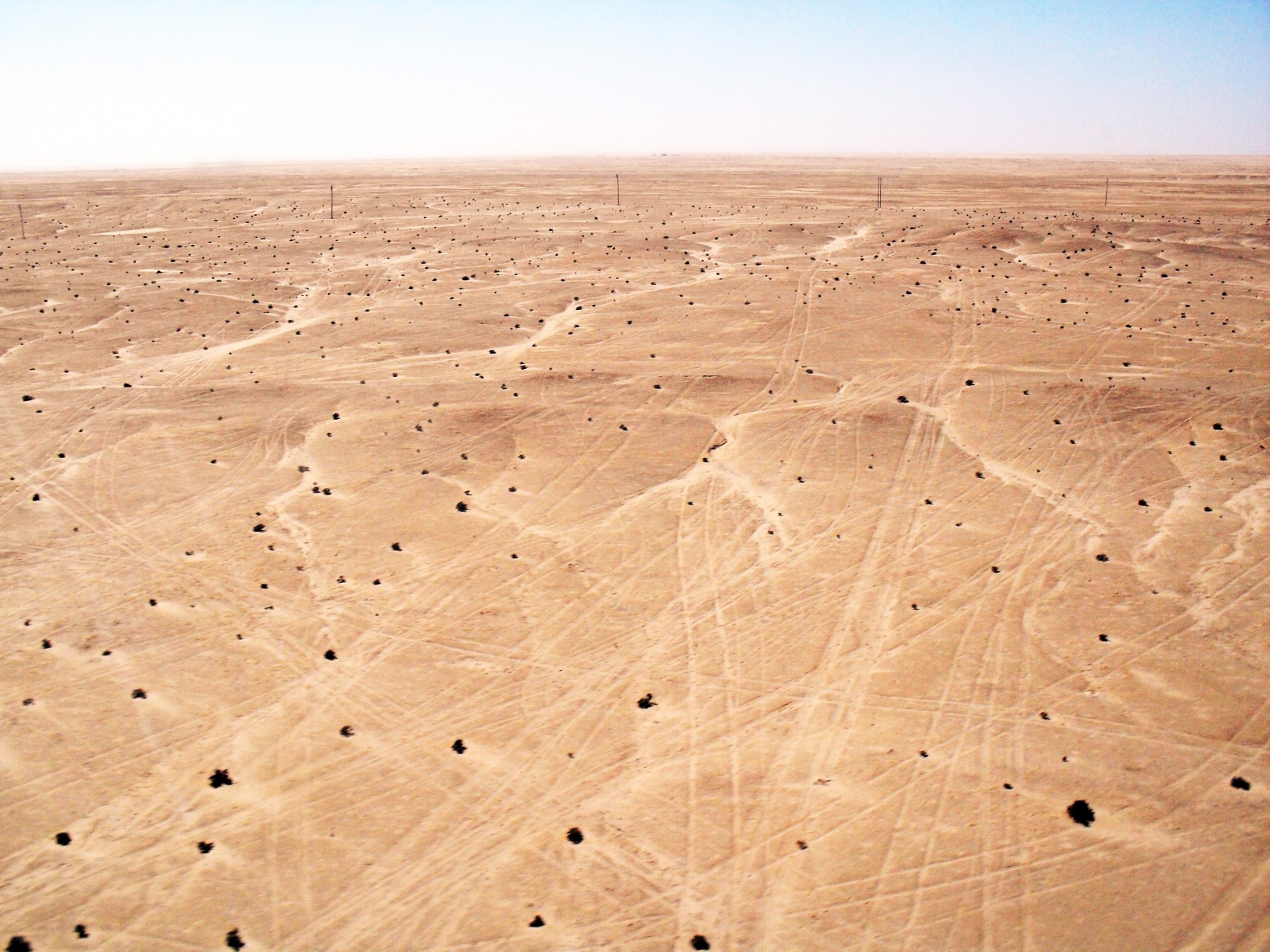 desert sand tracks free photo