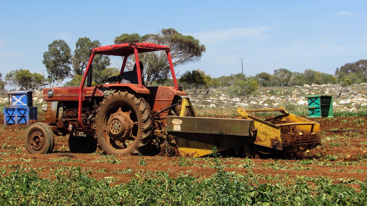 tractor working potato harvest free photo