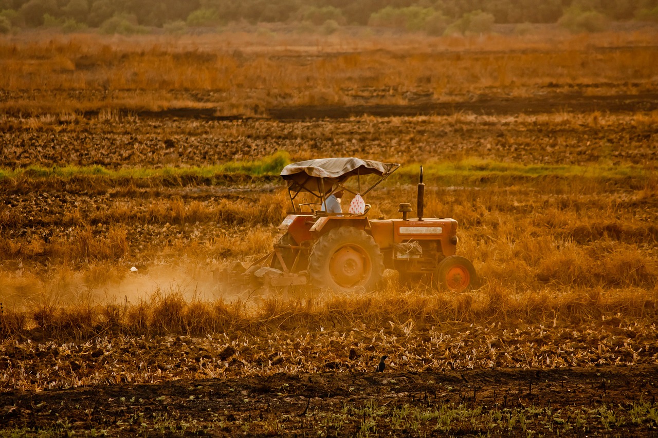 tractor farmer field free photo