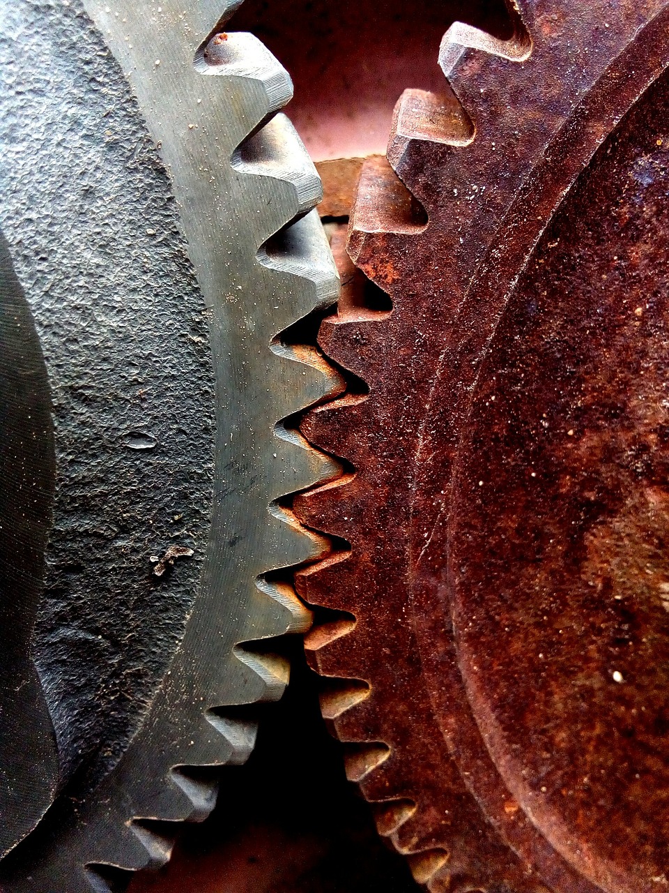 tractor cogs rust free photo