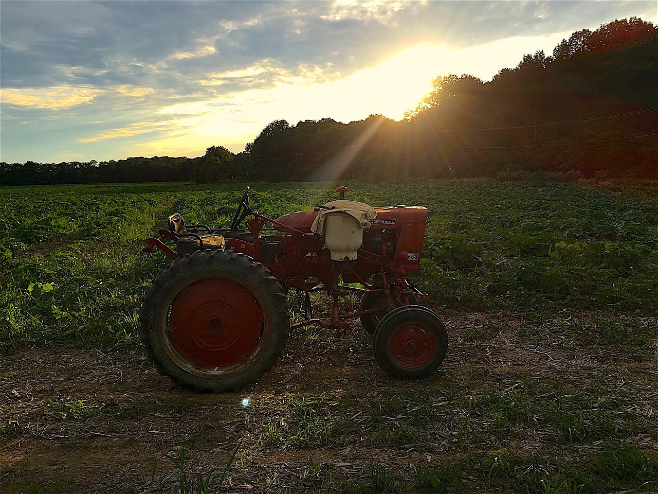 tractor farm sunset free photo