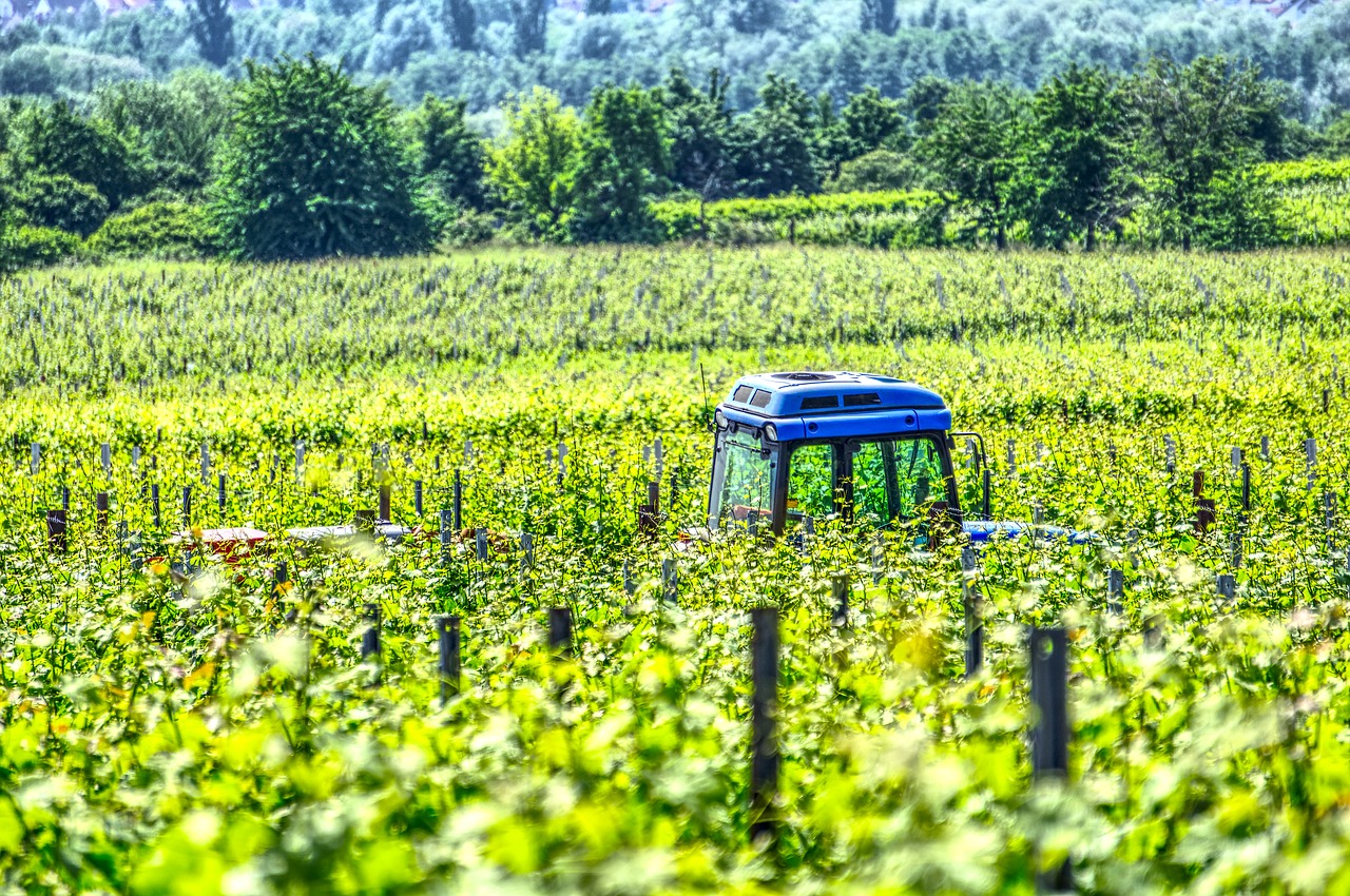 tractor  vineyard tractor  vineyard free photo