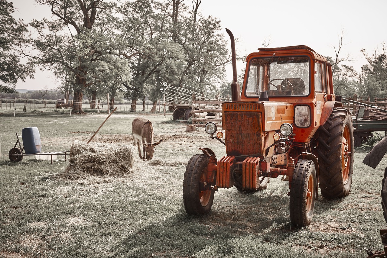 tractor  farm  donkey free photo