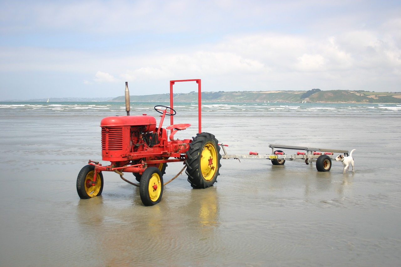 tractor  sea  dog free photo