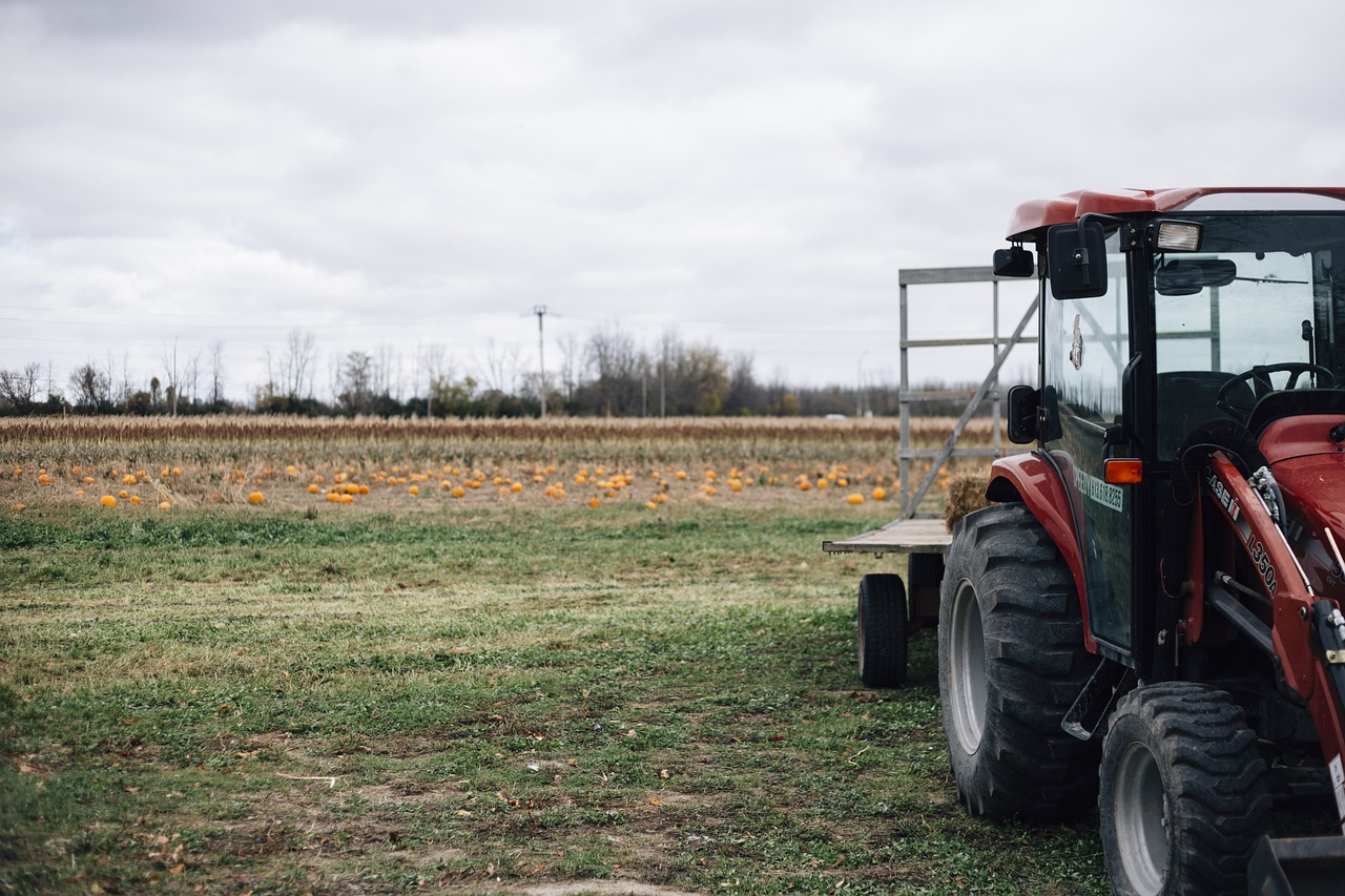 tractor  farm  pumpkin free photo