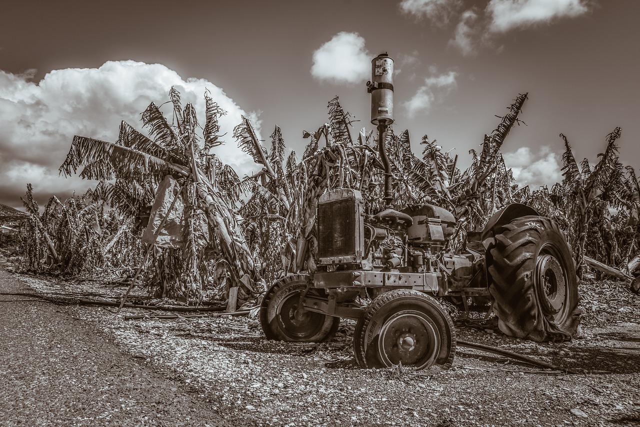 tractor  old  oldtimer free photo