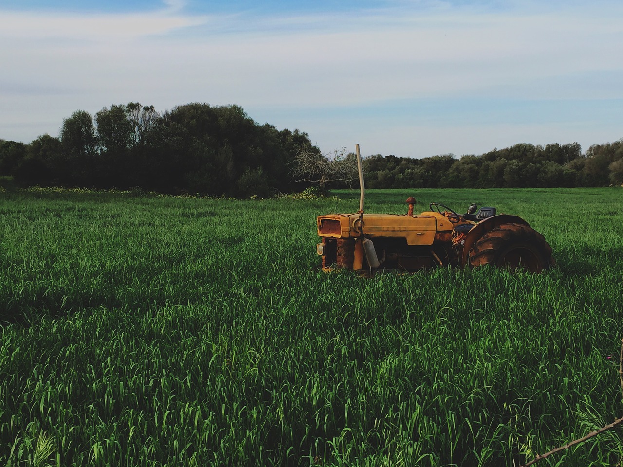 tractor field agriculture free photo