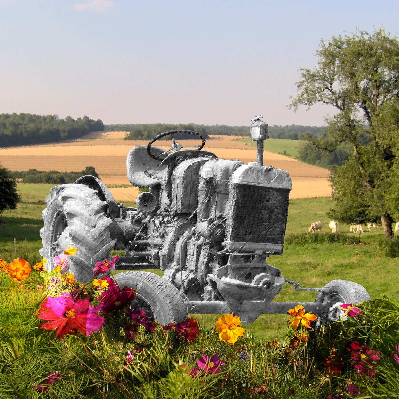 tractor photomontage flowers free photo