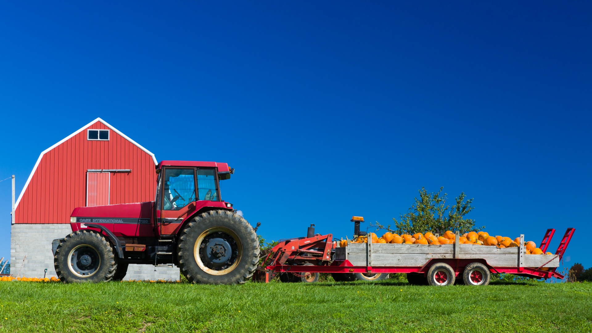 agriculture autumn barn free photo