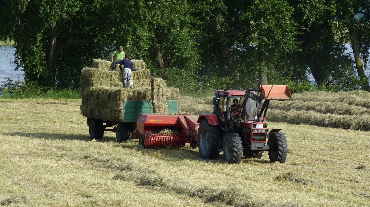 tractors agriculture tractor free photo