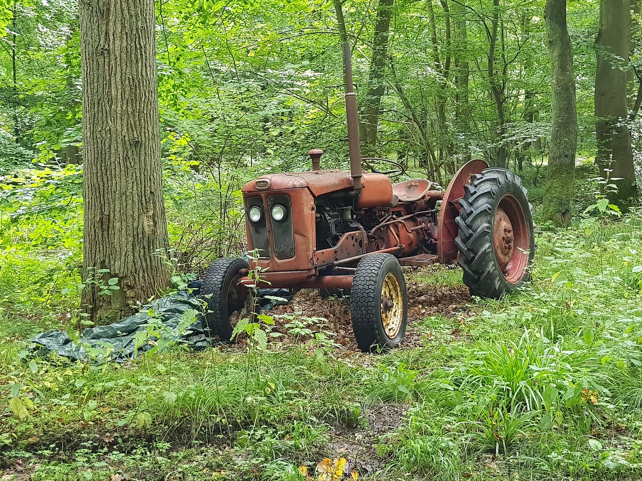 tractors forest nature free photo