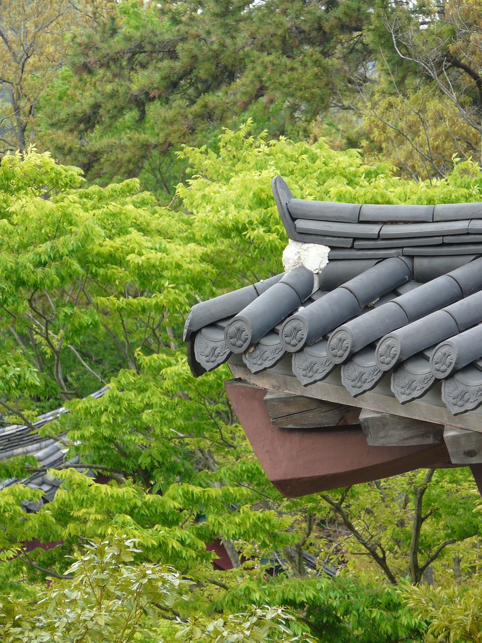 traditional roof tile landscape free photo
