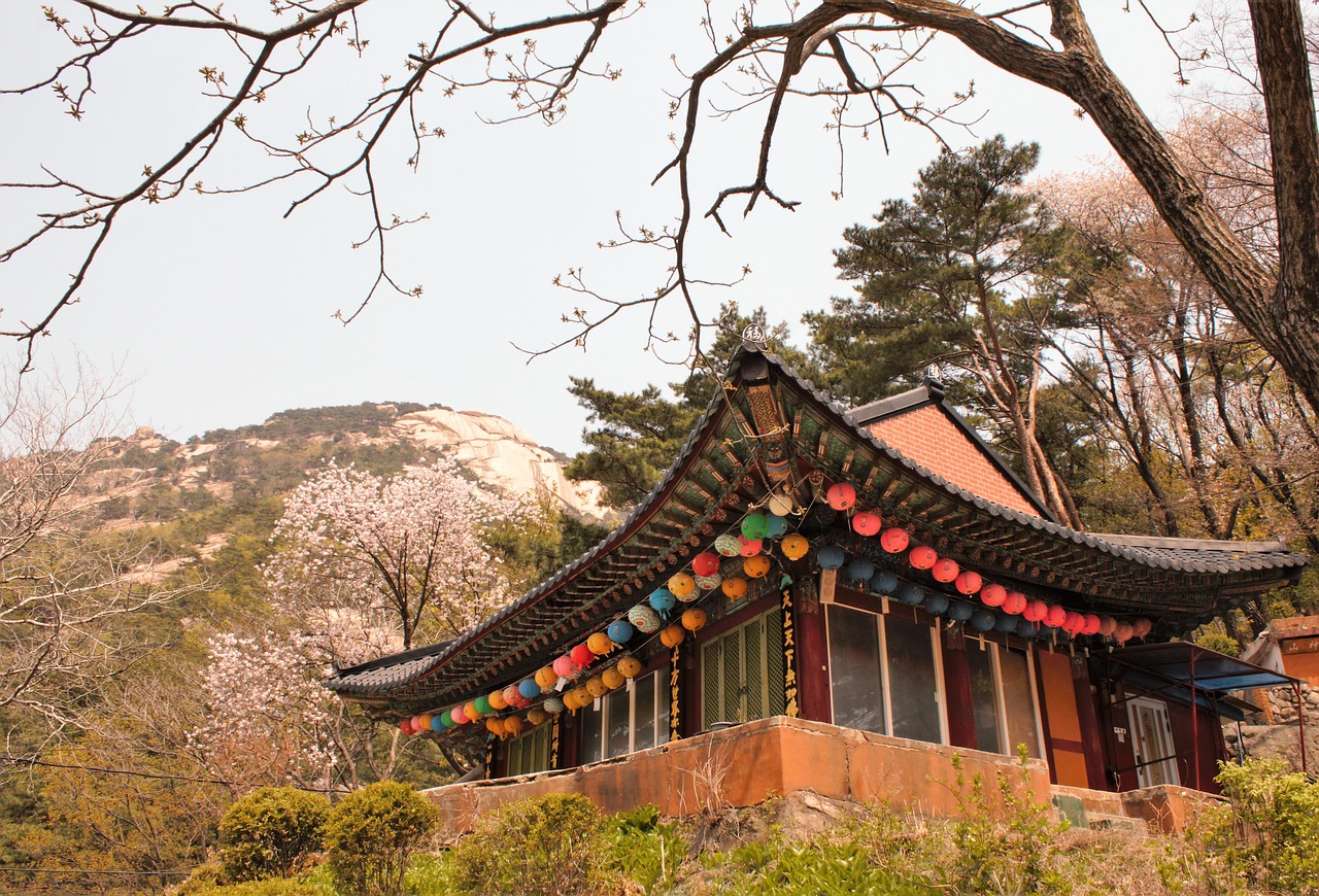 traditional  temple  bukhansan free photo