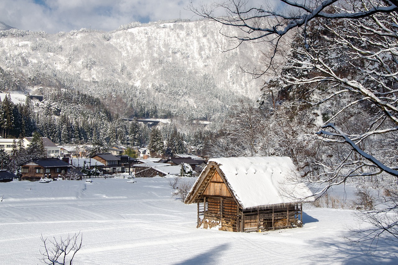 traditional  shirakawa-go  gifu free photo