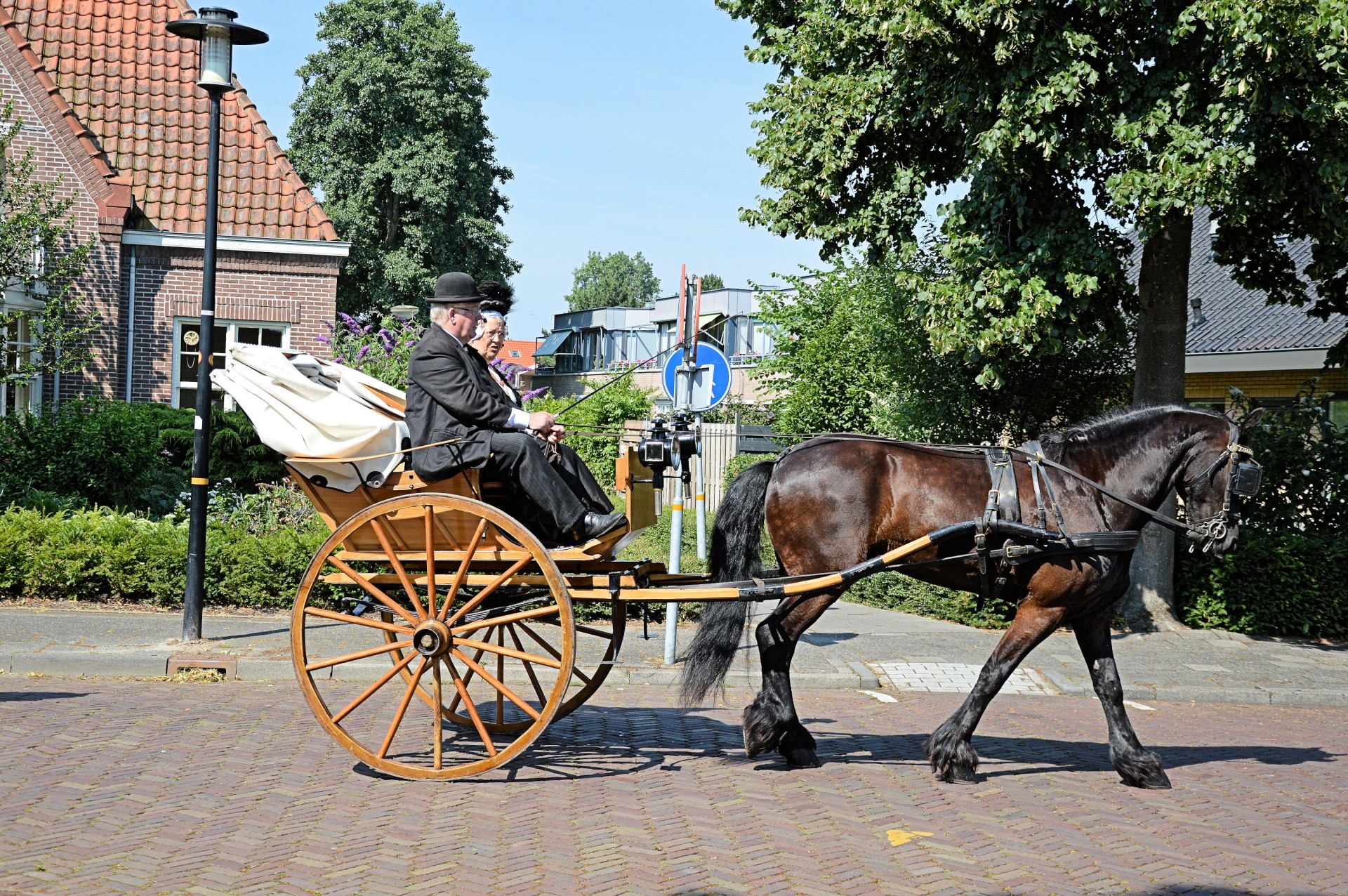 tradition holland clothing free photo