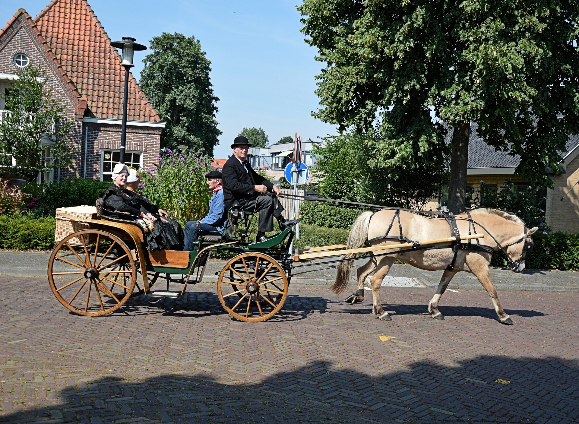 tradition holland clothing free photo