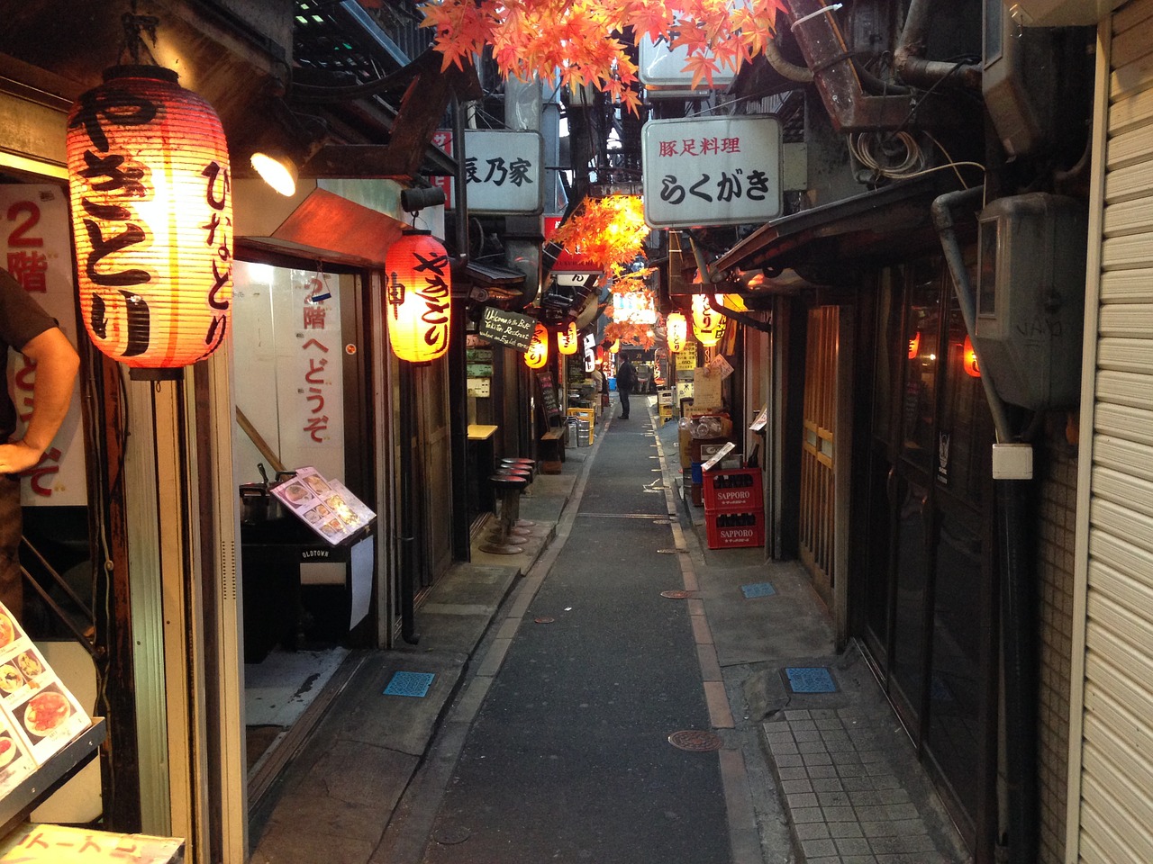 traditional japan yakitori food free photo