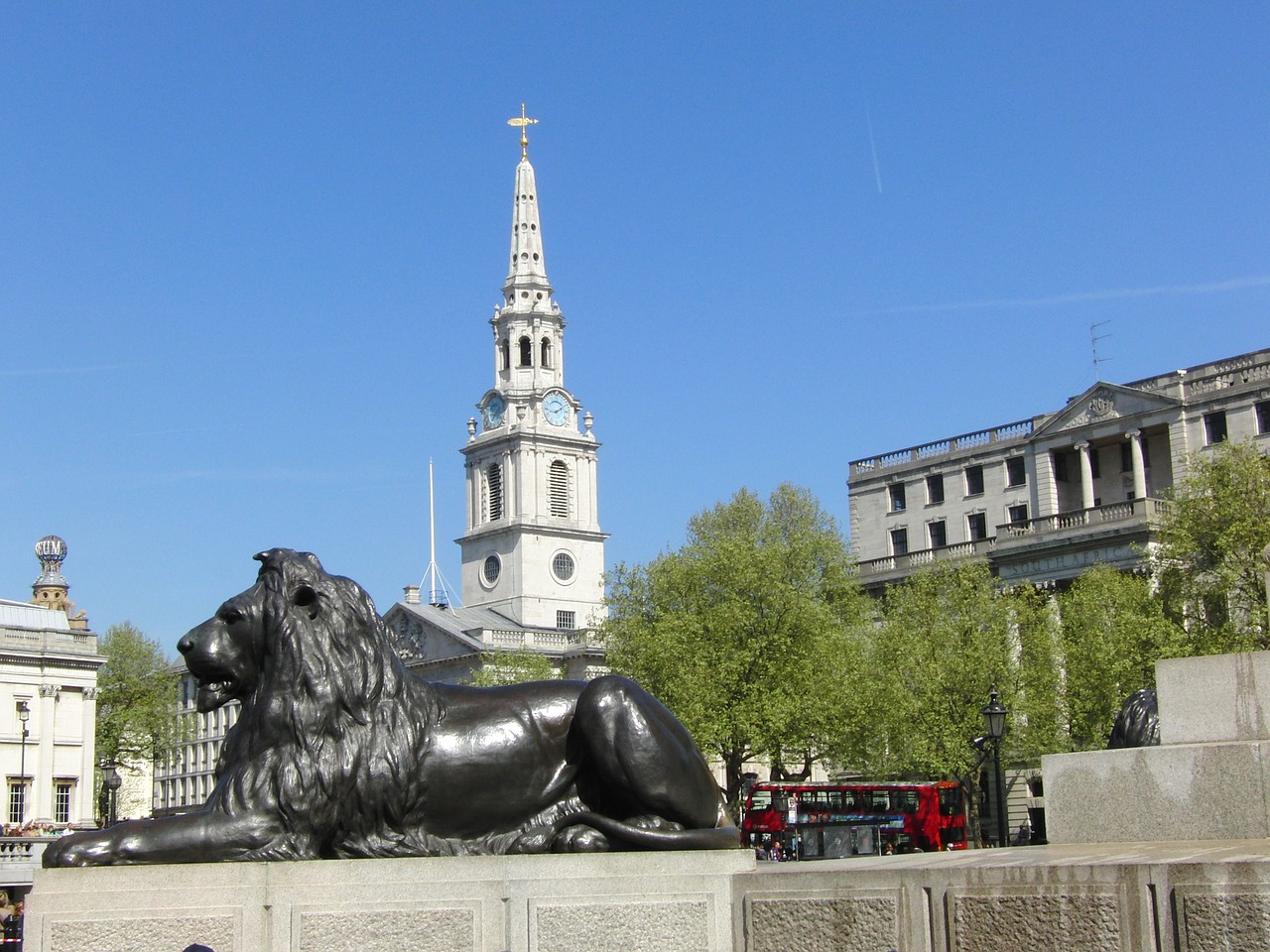 trafalgar square london lion free photo