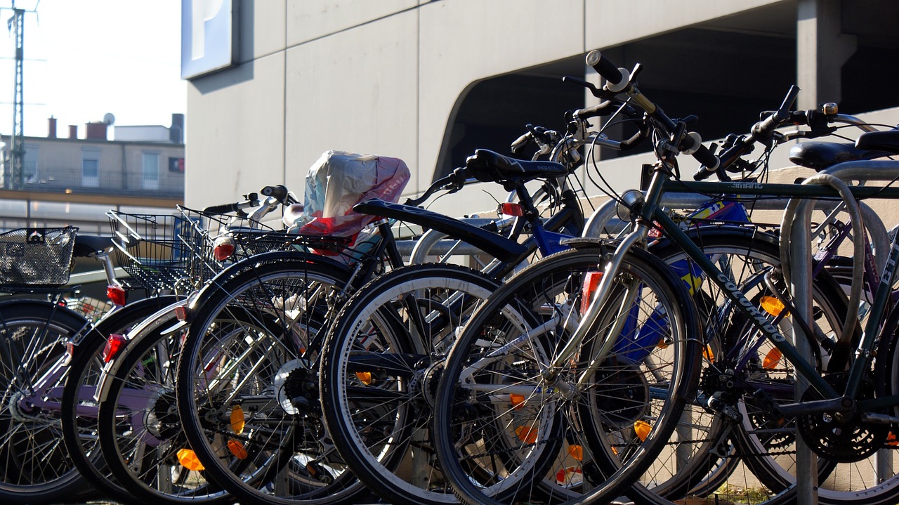 traffic transport bike free photo