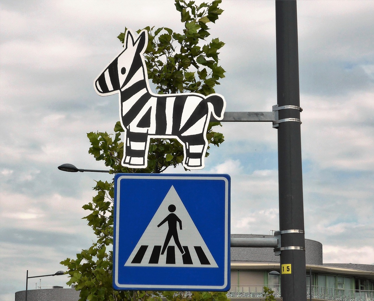 Знак зебры на дороге