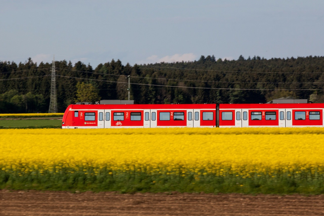 traffic transport s bahn free photo