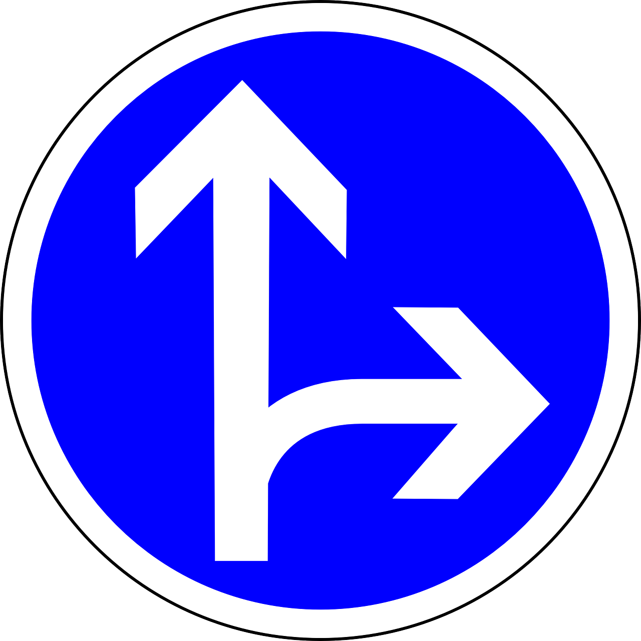 traffic sign sign go straight or right free photo