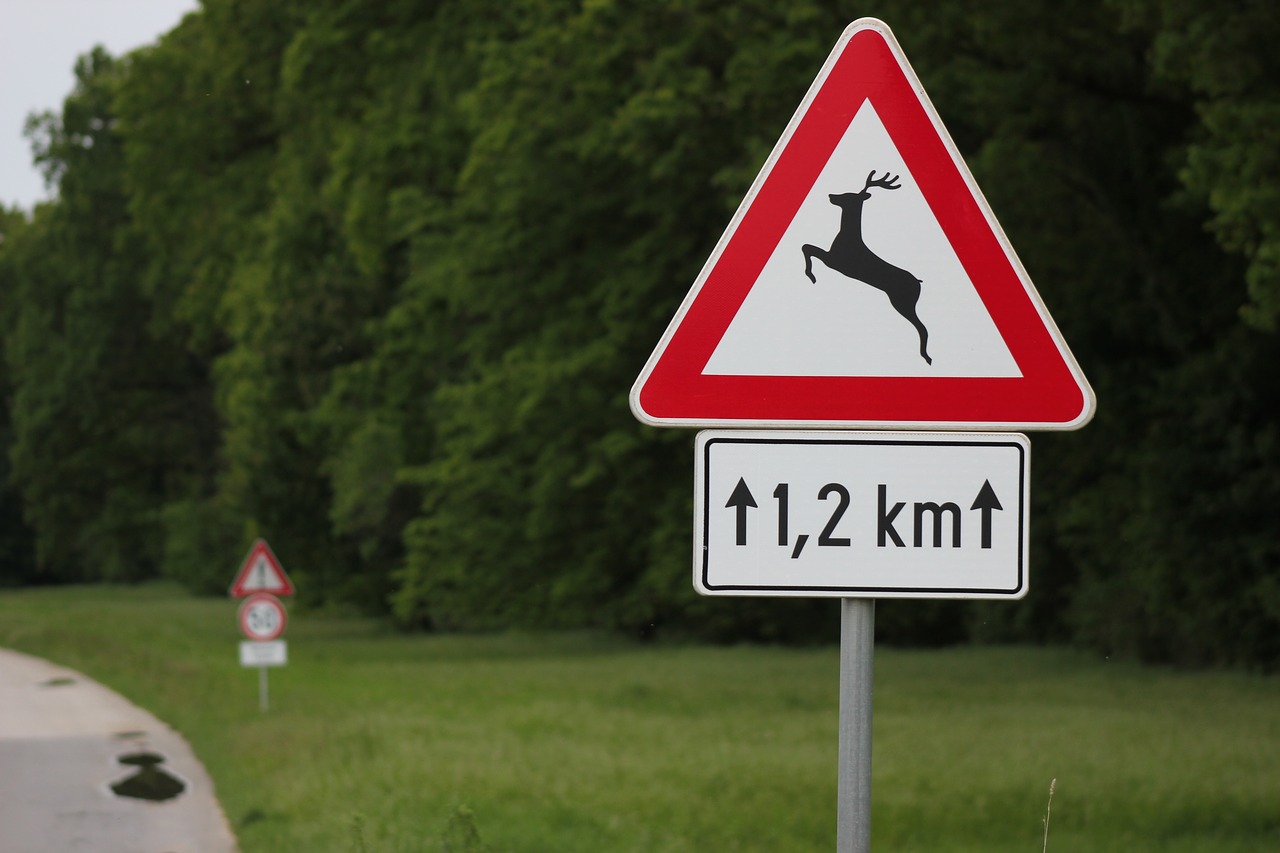 traffic sign deer danger warning free photo