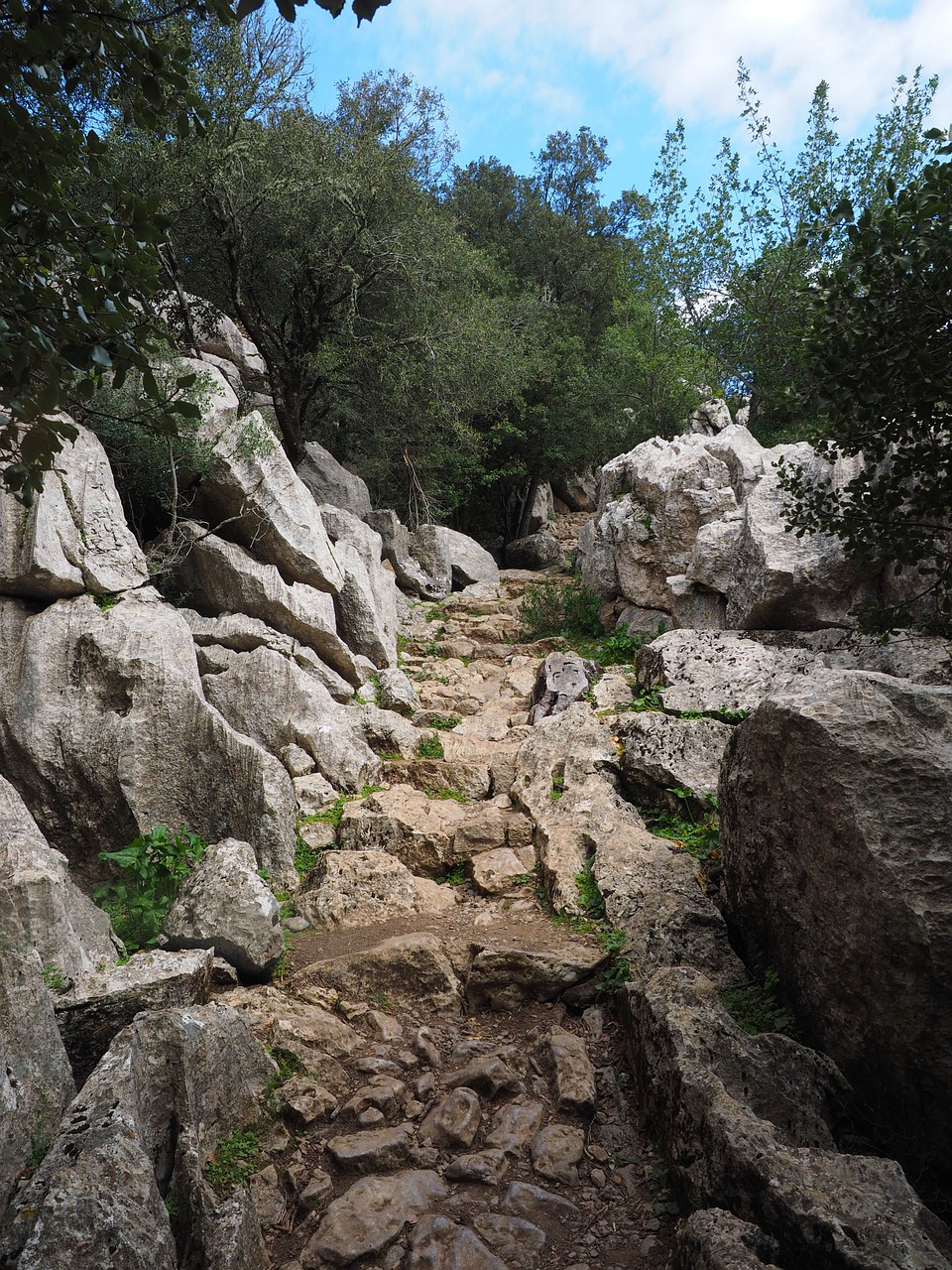trail rock limestone free photo