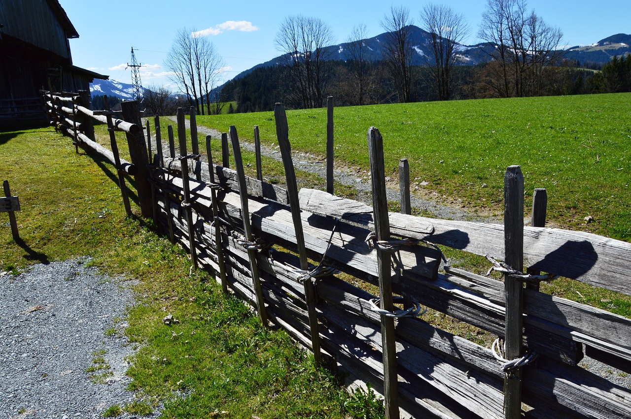 trail wood fence nail without free photo