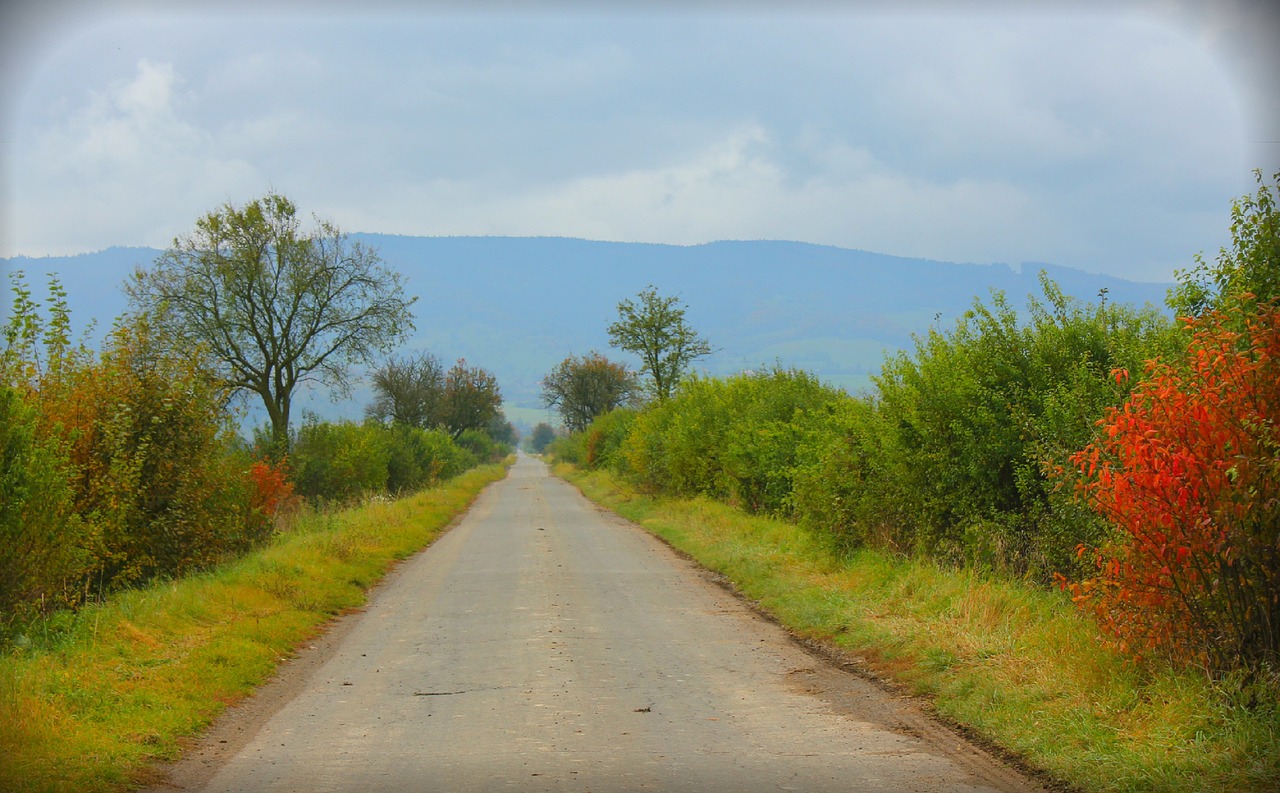 trail autumn trip free photo