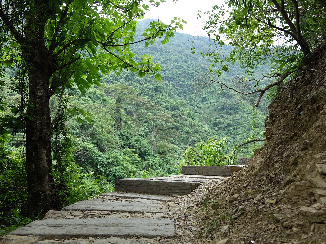 trail aoyama life-style 徑 free photo