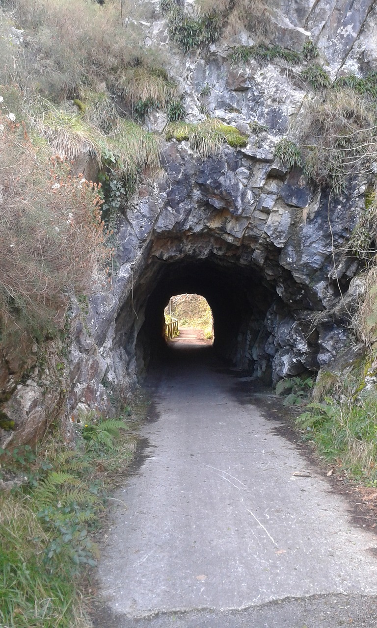 trail path tunnel free photo