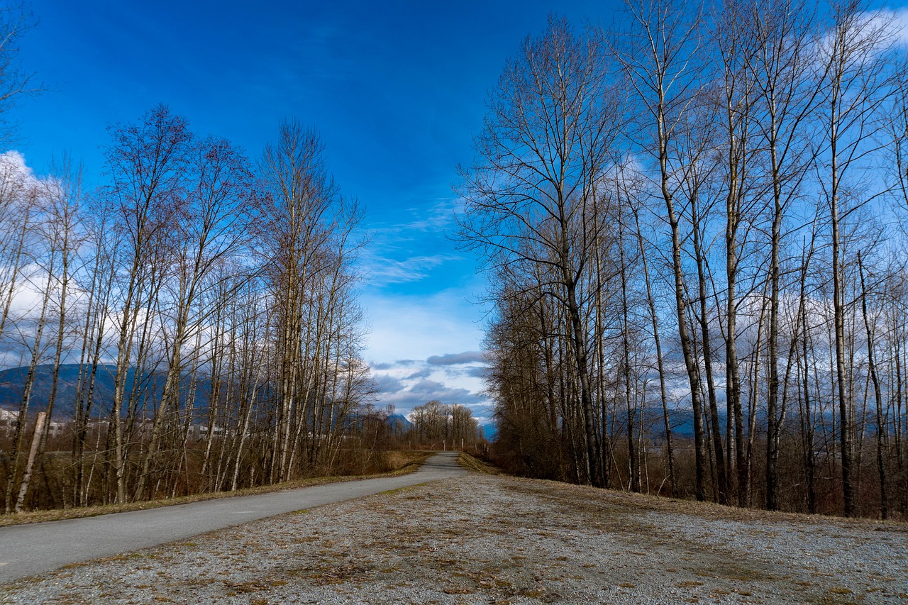 trail port coquitlam british columbia free photo