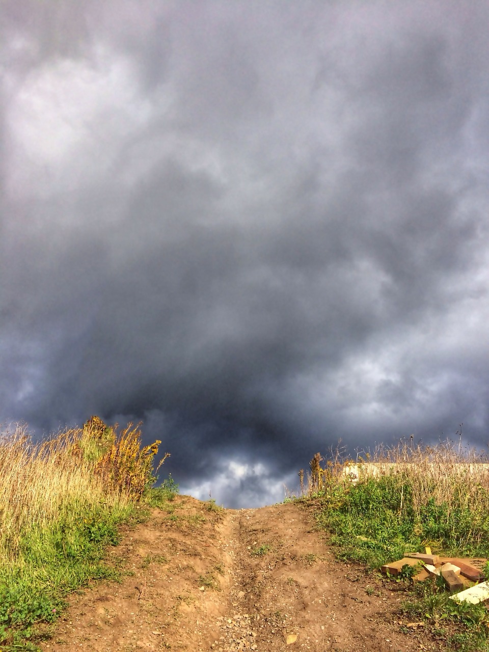 trail path nature free photo