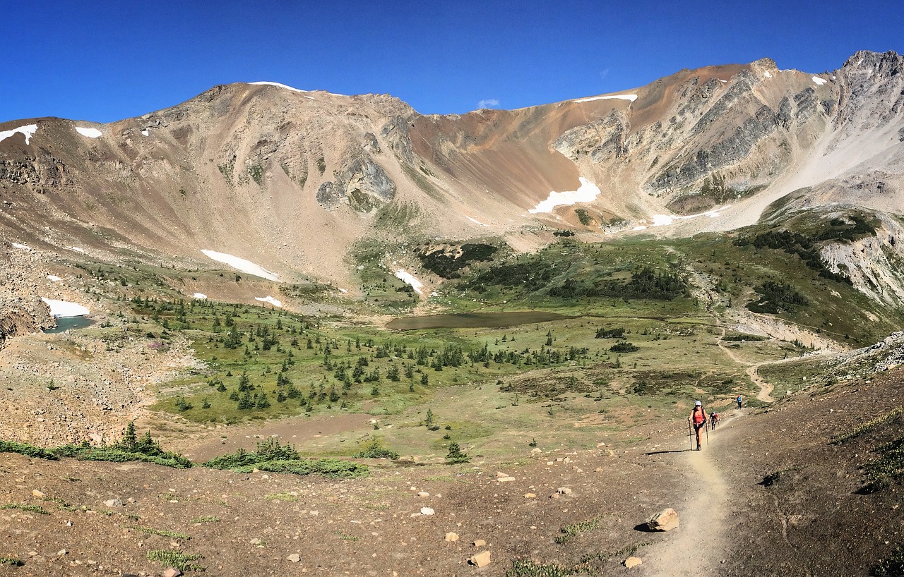 trail alpine mountain free photo