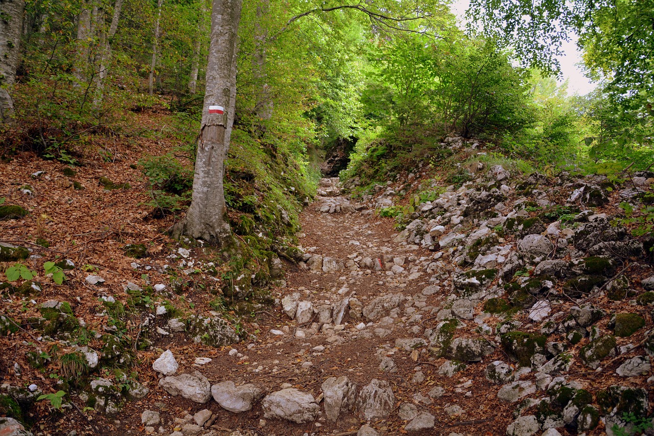 trail steep rocks free photo