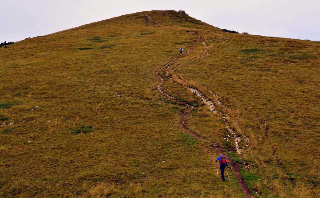 trail hiking ascent free photo