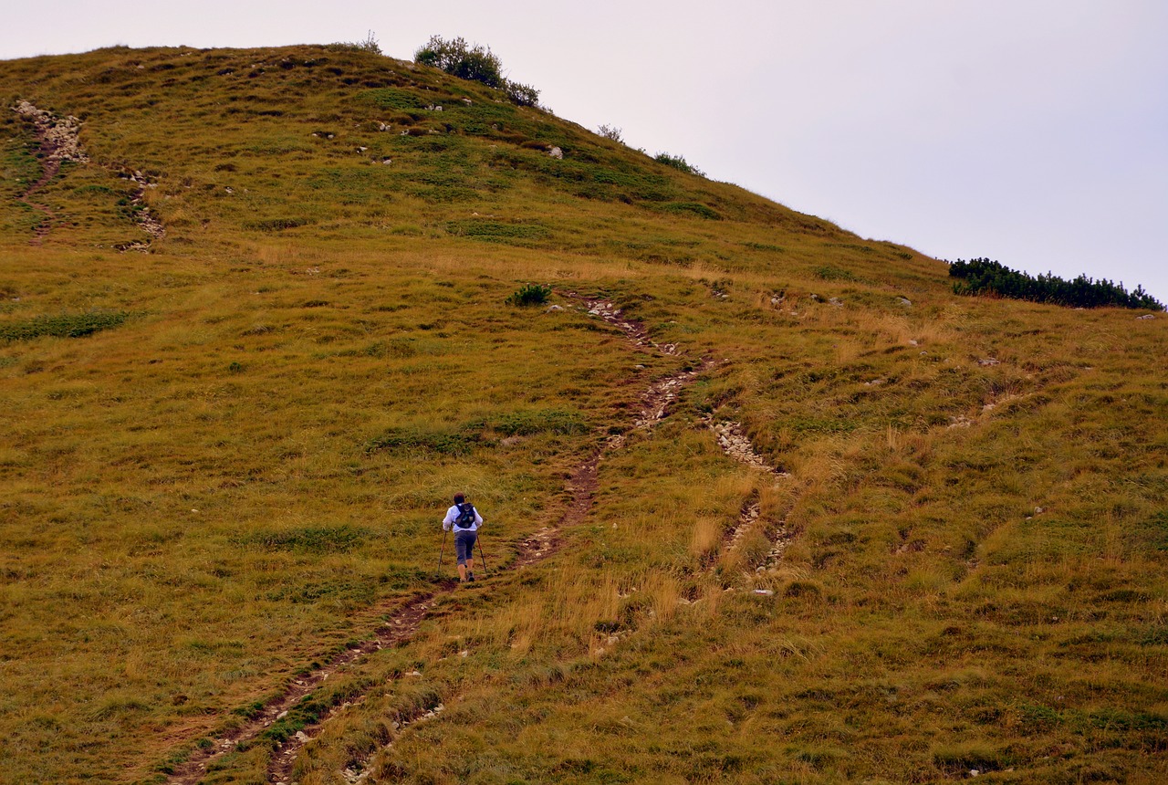 trail hiking ascent free photo