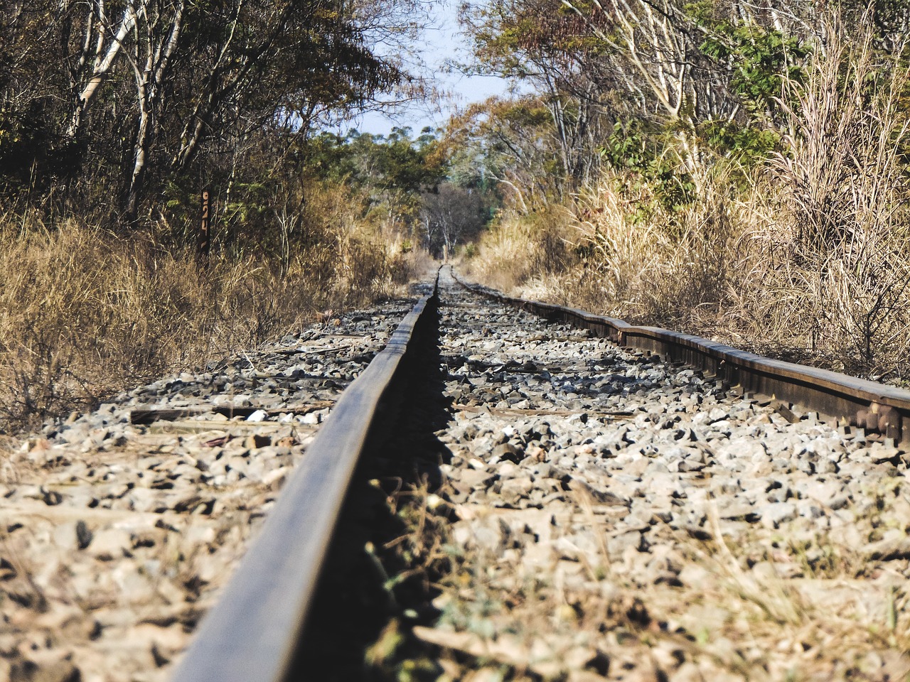 trail train railroad free photo