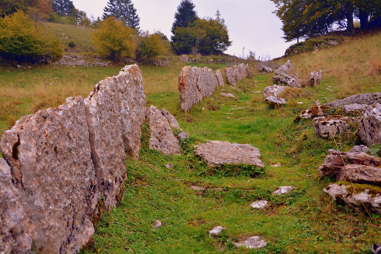 trail fence stones free photo