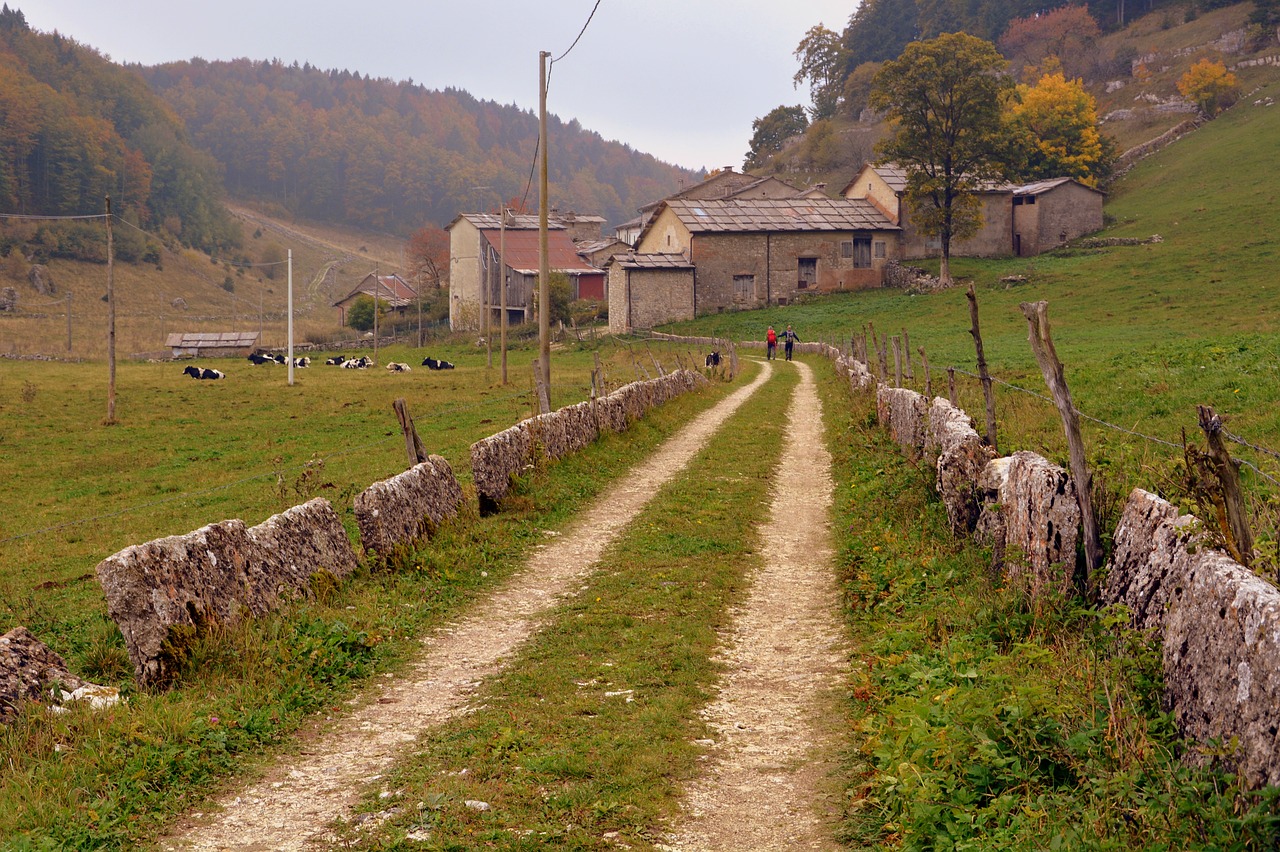 trail stone fence free photo