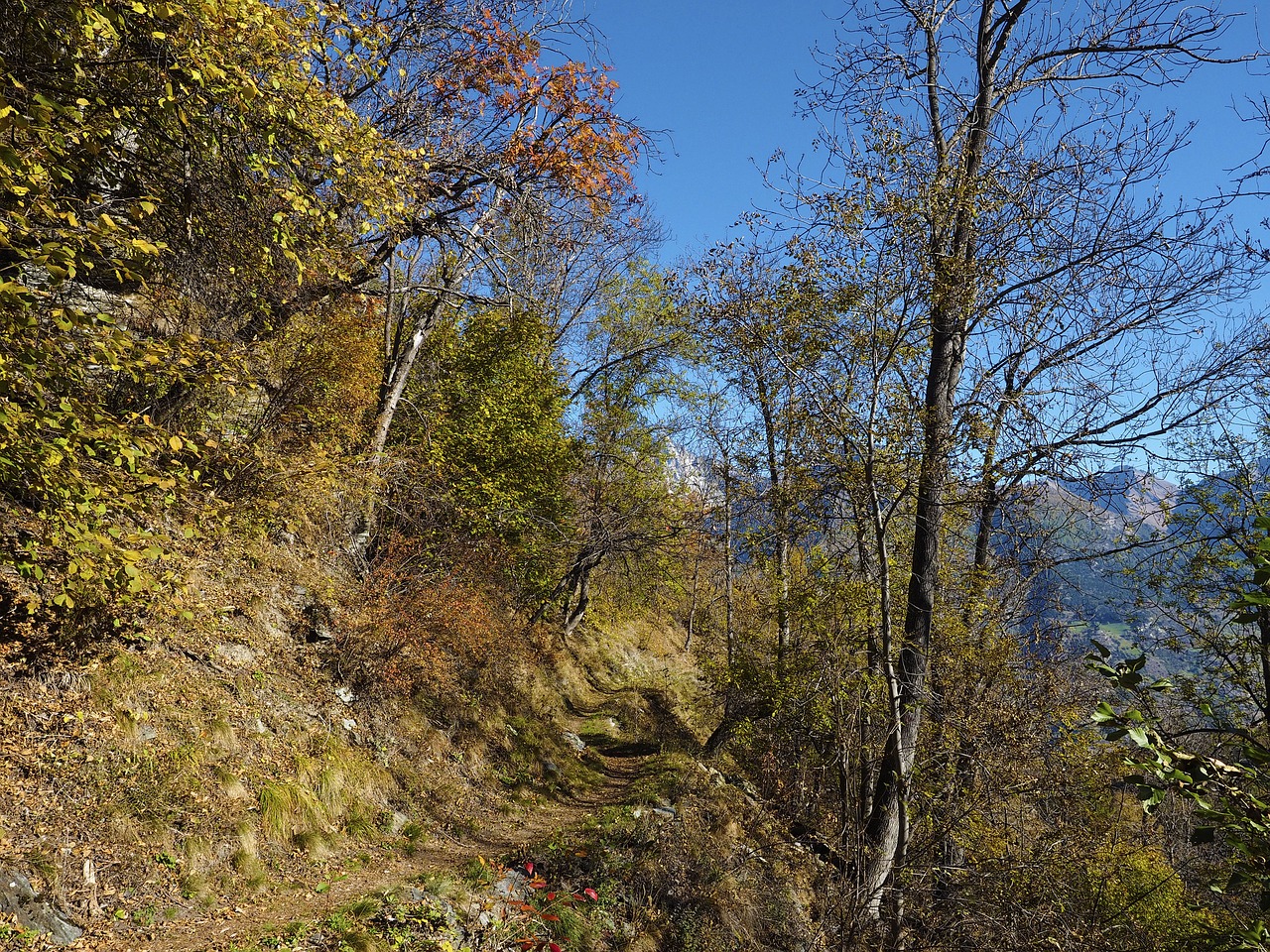 trail mountain hiking free photo