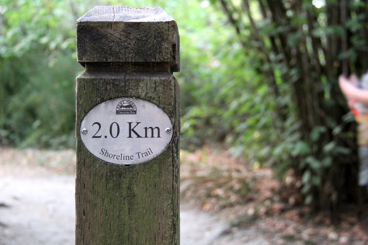 trail walking path free photo