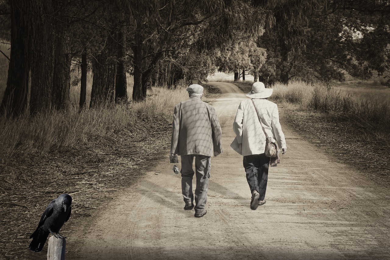 trail  path  elderly free photo