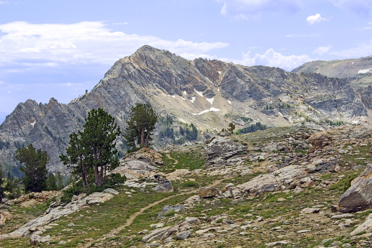 trail  mountains  alpine free photo