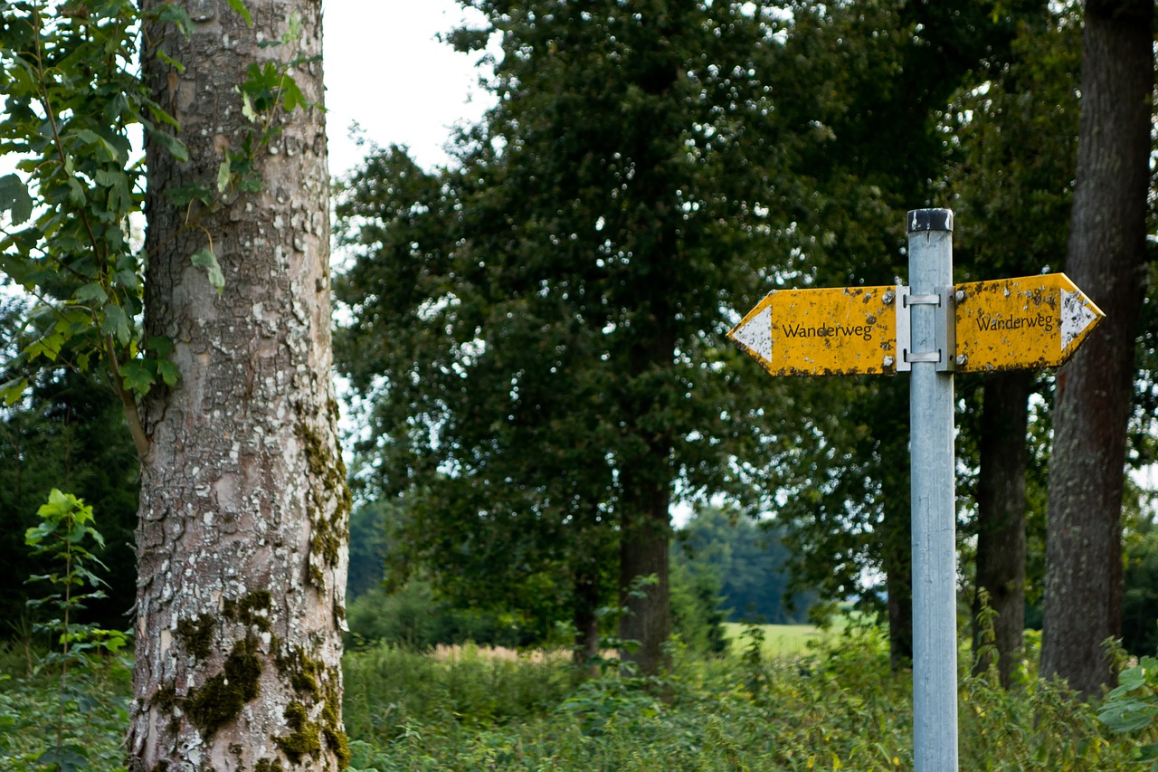 trail directory shield free photo