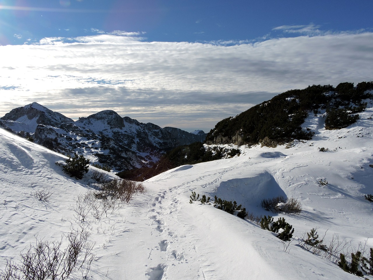 trail snow footsteps free photo